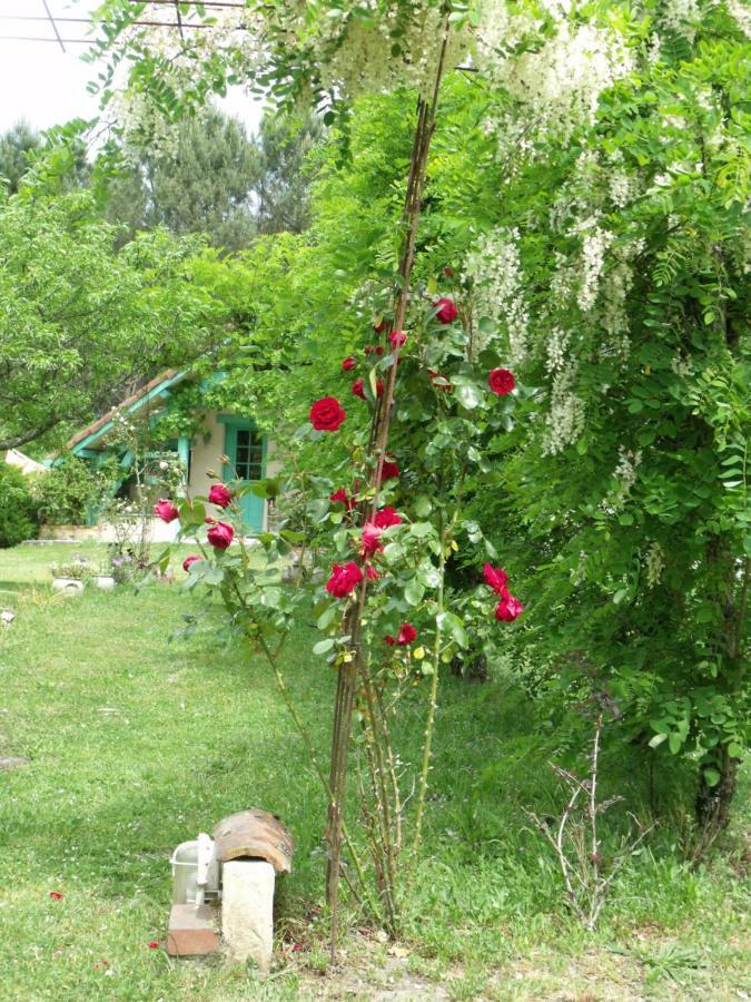 Les Hotes Landes Saint-Gor Kültér fotó